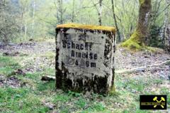 Grube Ameise im Leimbachtal bei Siegen, Westerwald, Nordrhein-Westfalen, (D) (1) 24. April 2016.JPG